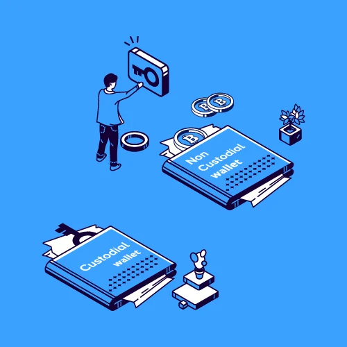 Custodial vs non-custodial cryptocurrency wallets comparison